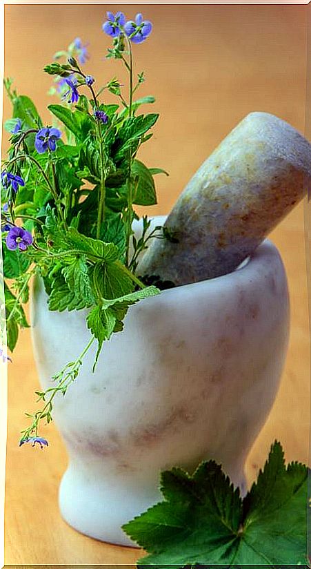 Mortar with medicinal plants